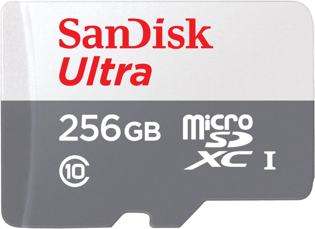 SanDisk MicroSDHC-Speicherkarte, Class 10, 256 GB für BrightSign Mediaplayer